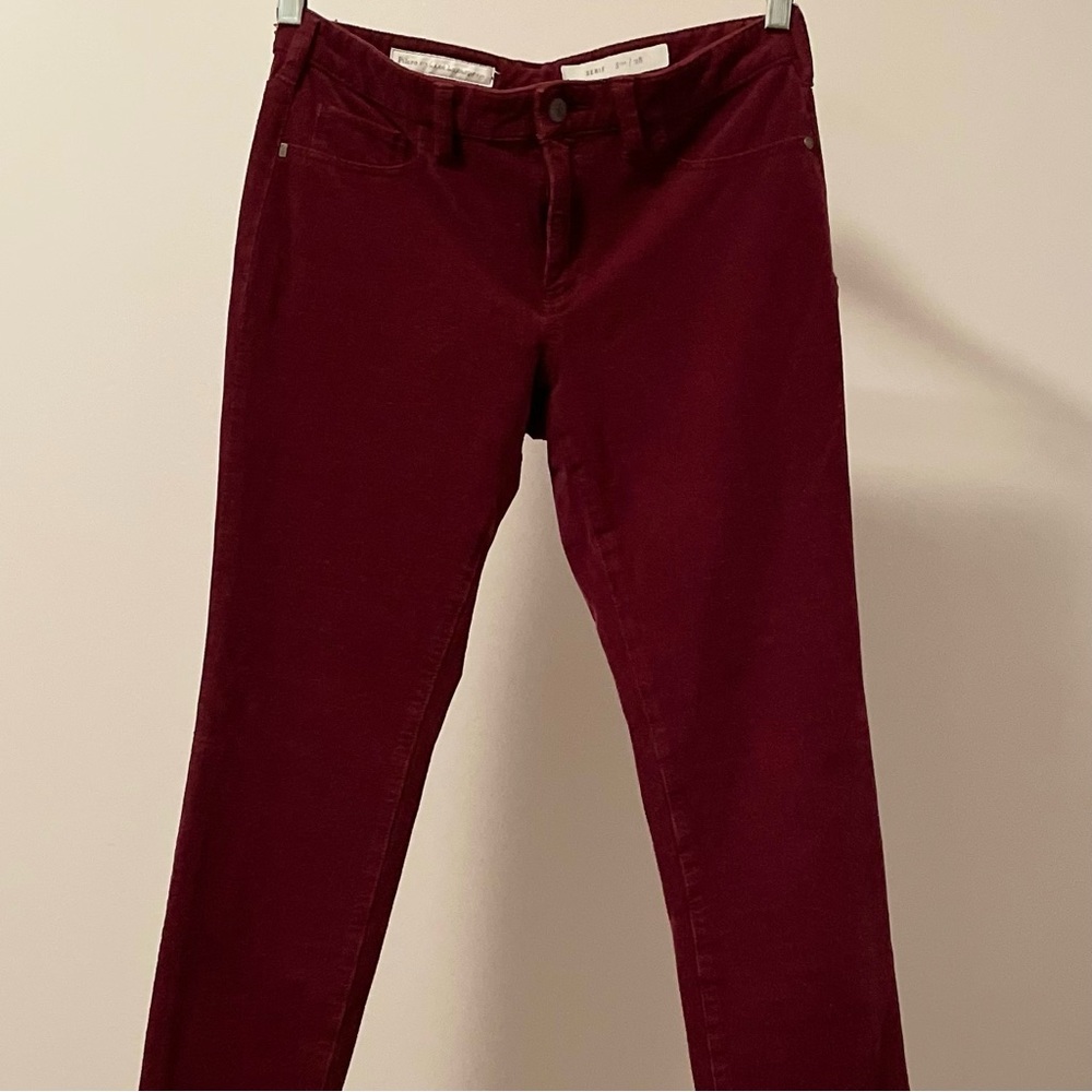 Pilcro Serif Cords Pants